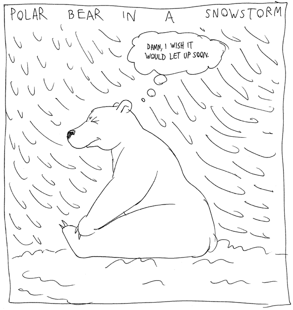 polarbear-in-snowstorm.gif