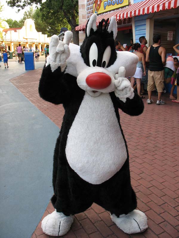 sylvester-rockin.jpg