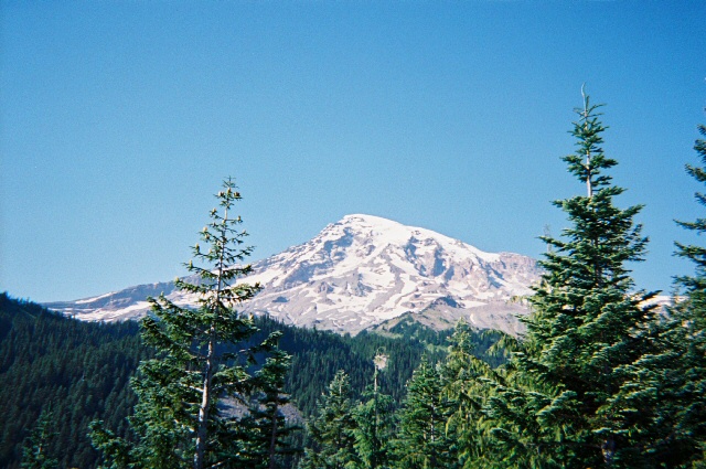 rainier1.jpg