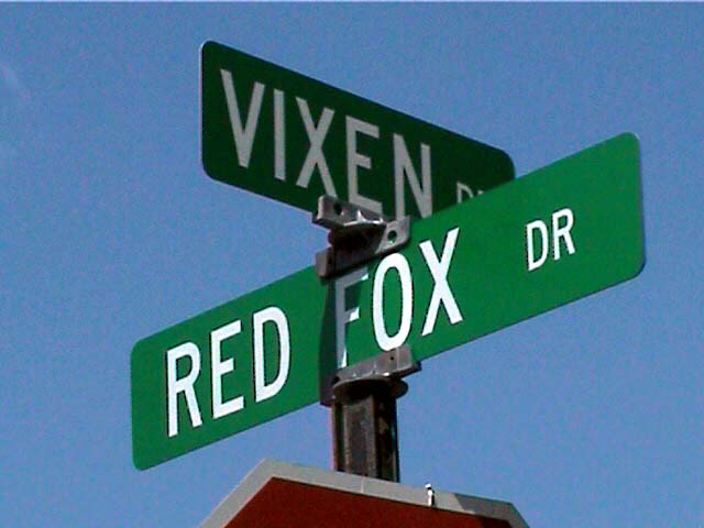 vixen-redfox.jpg