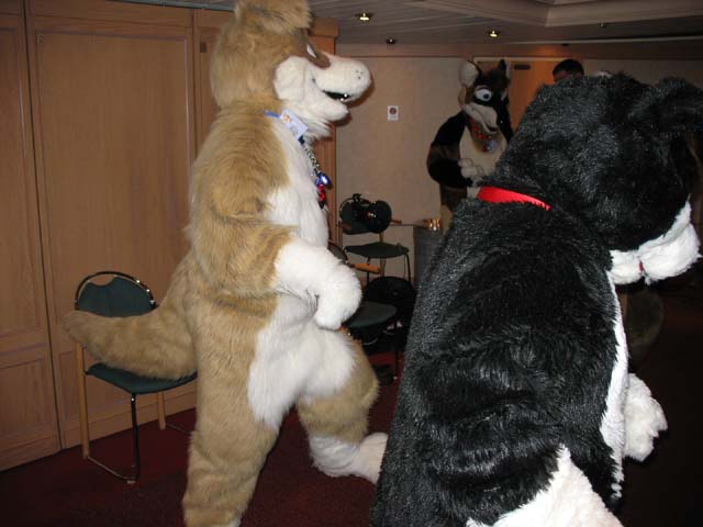 041-fursuitdance.jpg