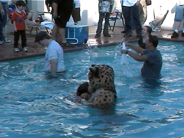 ko-jj-brody-dryice-in-pool.jpg